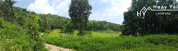 #1125    Up to 2000rai available. Some superb views
