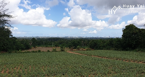 #1125    Up to 2000rai available. Some superb views