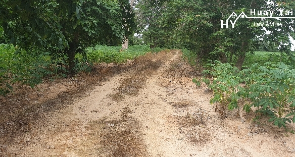 #1111   –  55rai adjacent to Lake Mabprachan Reservoir.