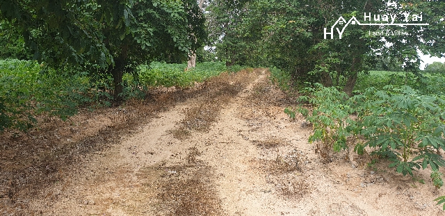 #1111   –  55rai adjacent to Lake Mabprachan Reservoir.