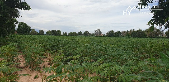 #1111 Exceptional 55 Rai Development Land Adjacent to Mabprachan Lake | Pattaya