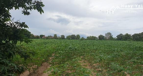 #1111   –  55rai adjacent to Lake Mabprachan Reservoir.