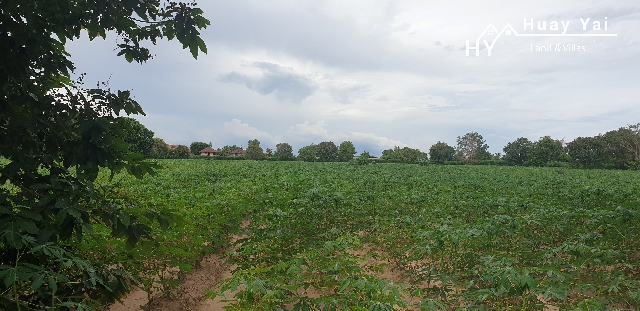 #1111   –  55rai adjacent to Lake Mabprachan Reservoir.