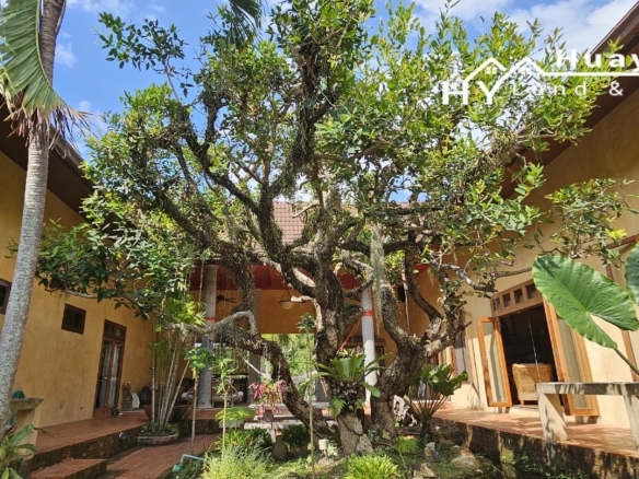 #3153 SPACIOUS CHARACTER COUNTRY HOUSE IN 2 RAI