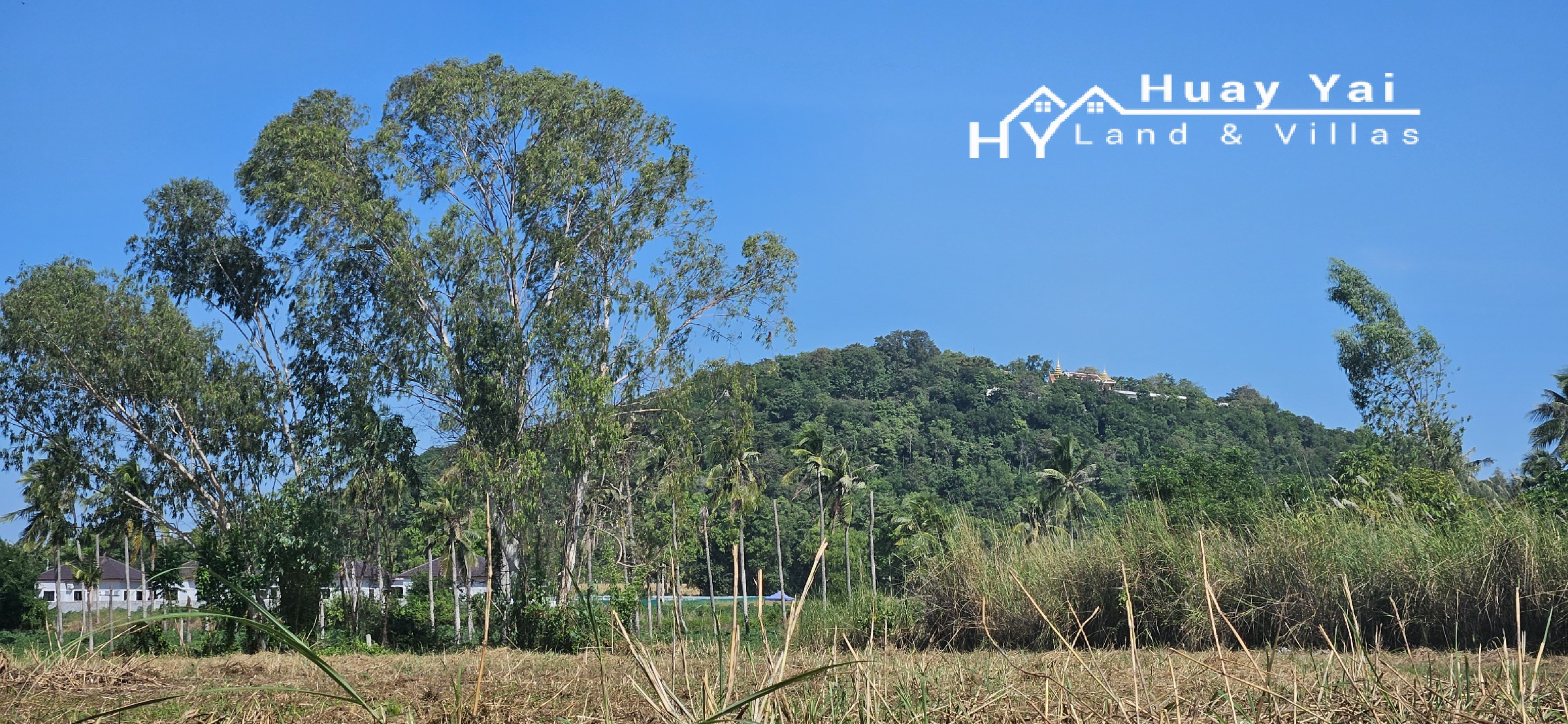 20231207_103209 #1243 – 18+Rai overlooking its own lake with views. Excellent Value