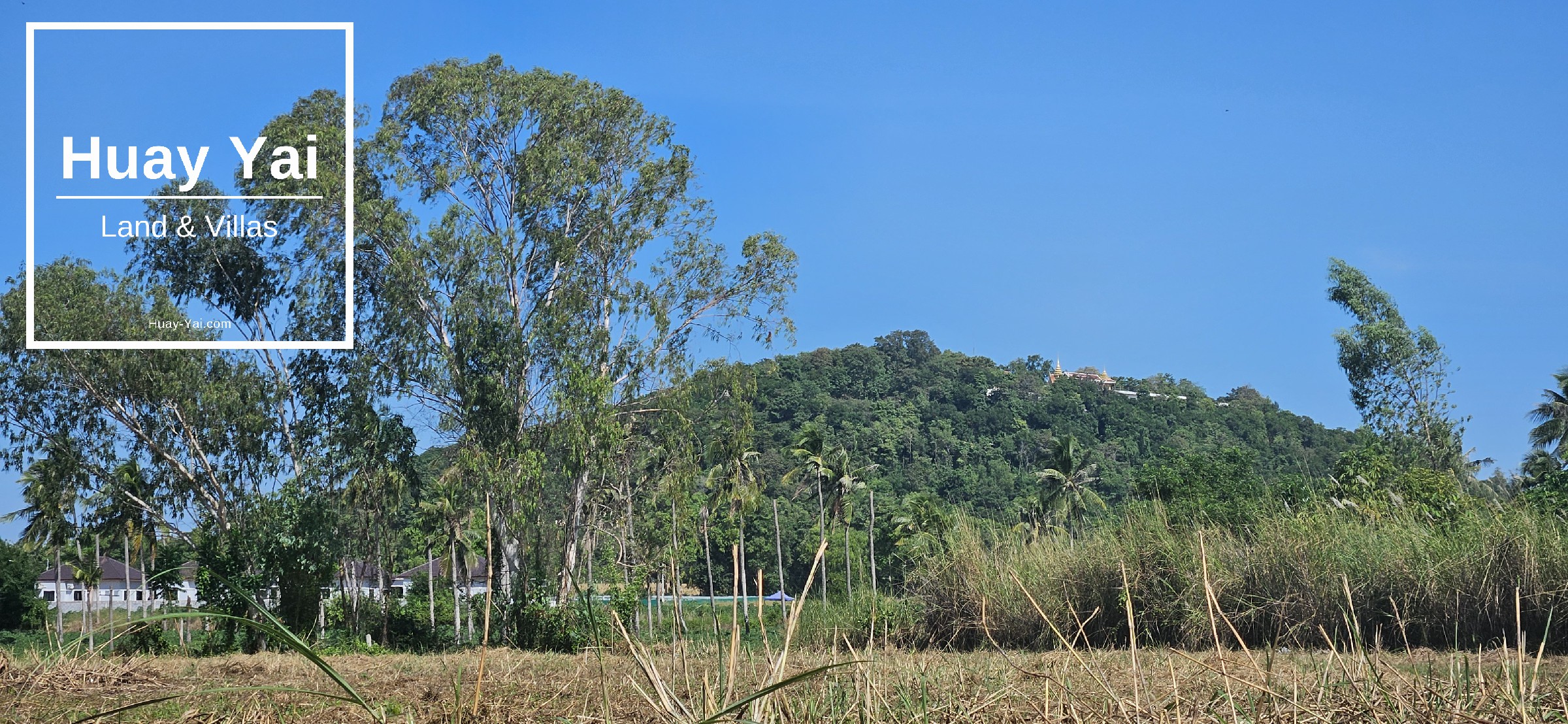#1243 – 18+Rai overlooking its own lake with views.  Excellent Value
