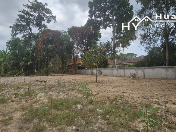 Land for Sale in Huay Yai, Pattaya | 2 Rai | Only 3mb per Rai