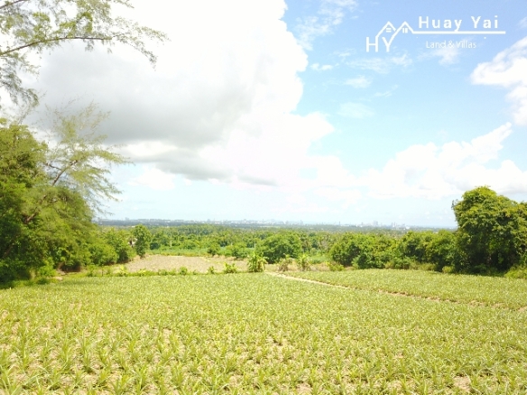 #1125    Up to 2000rai available. Some superb views