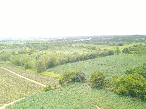#1125    Up to 2000rai available. Some superb views