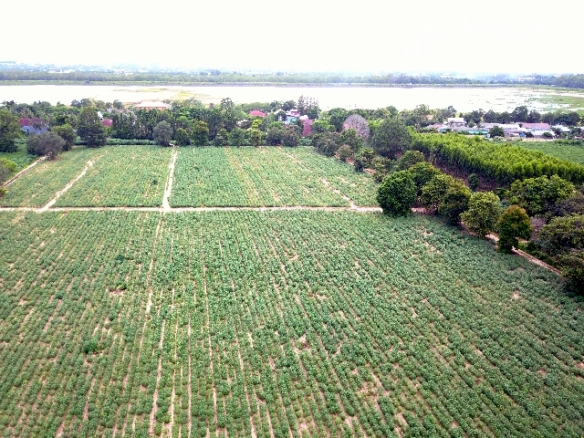 #1111   –  55rai adjacent to Lake Mabprachan Reservoir.