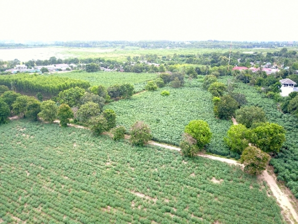 #1111   –  55rai adjacent to Lake Mabprachan Reservoir.