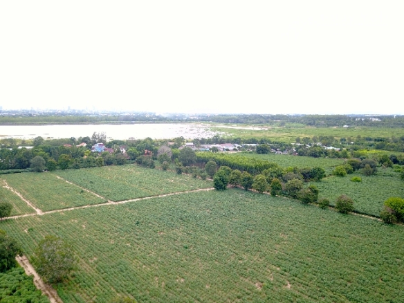 #1111   –  55rai adjacent to Lake Mabprachan Reservoir.