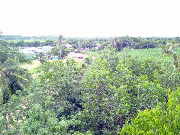 #1111   –  55rai adjacent to Lake Mabprachan Reservoir.