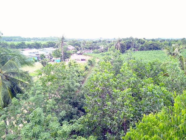 #1111   –  55rai adjacent to Lake Mabprachan Reservoir.