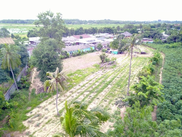 #1111   –  55rai adjacent to Lake Mabprachan Reservoir.