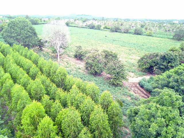 #1111   –  55rai adjacent to Lake Mabprachan Reservoir.