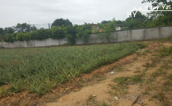 #1089  Raised ground just off Mabprachan Lake, close to International Schools