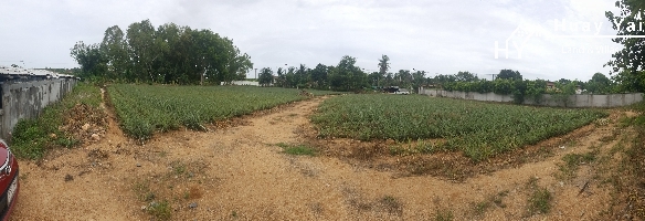 #1089  Raised ground just off Mabprachan Lake, close to International Schools