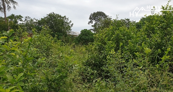 #1200 Land Plots hidden away off the Wat Yan – Chak Ngaeo Road behind Phoenix Golf Course
