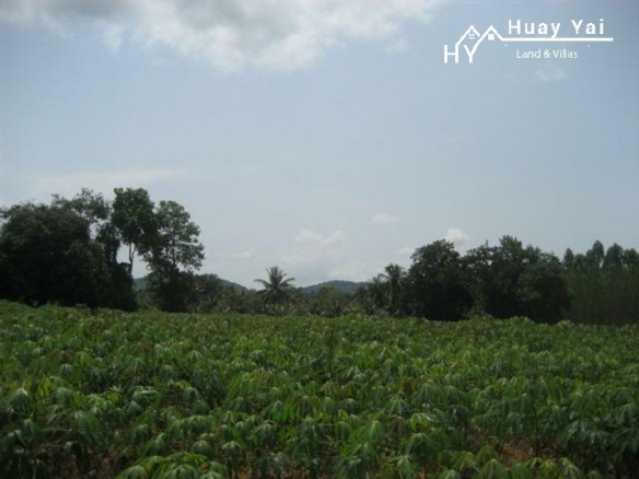 #1200 Land Plots hidden away off the Wat Yan – Chak Ngaeo Road behind Phoenix Golf Course