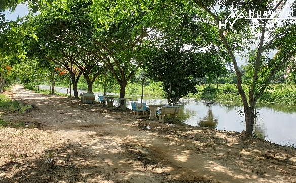 #1264  Huay Yai   10 rai in quiet location with klongside approach.
