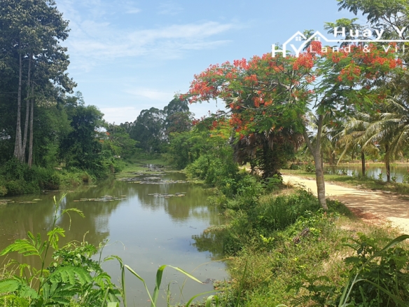#1264  Huay Yai   10 rai in quiet location with klongside approach.