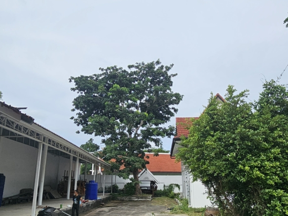 #3173  Commercial Property for renovation on Soi 27, Huay Yai | 1,752m² Plot