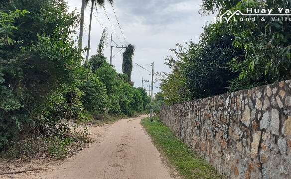 #1331   10+ rai – quietly situated beautiful land 1km from Pong High Street. Excellent value