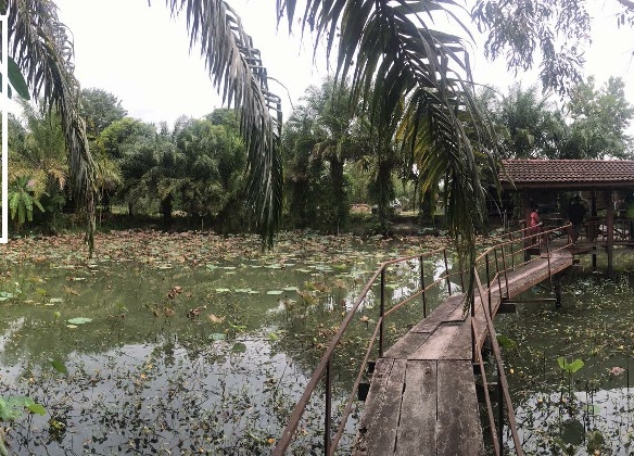 #1331  10+ Rai Beautiful Land for Sale | Pong / Mabprachan Lake, Near Pattaya