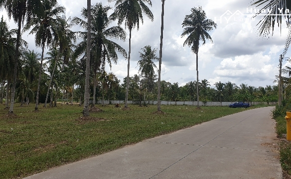 #1340    Huay Yai Land for Sale in good residential neighbourhood.  To be cut to size