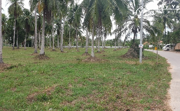 #1340    Huay Yai Land for Sale in good residential neighbourhood.  To be cut to size