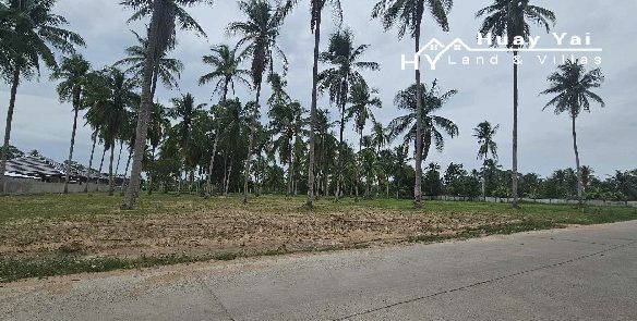 #1520  Road fronting dream villa plot in good neighbourhood. Can possibly cut size to suit