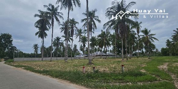 #1520  Road fronting dream villa plot in good neighbourhood. Can possibly cut size to suit
