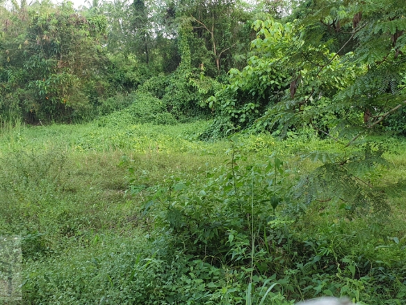 #1177   Very well priced land in Huay Yai