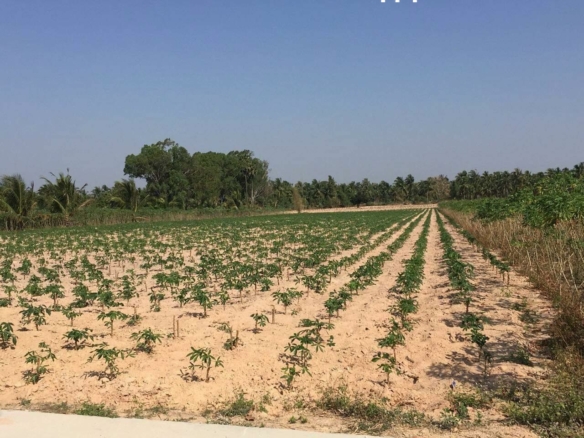 #1378 Quiet plot close to Siam Country Club