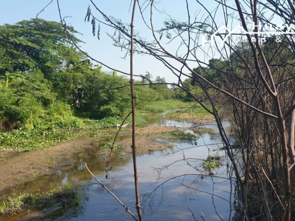 Land For Sale | 3 Individual Klong side plots for Sale in Huay Yai, Pattaya