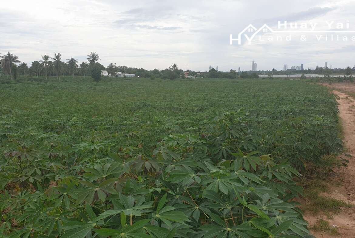 #1415 22+Rai Lakeside Land For Sale. Chak Nok Lake