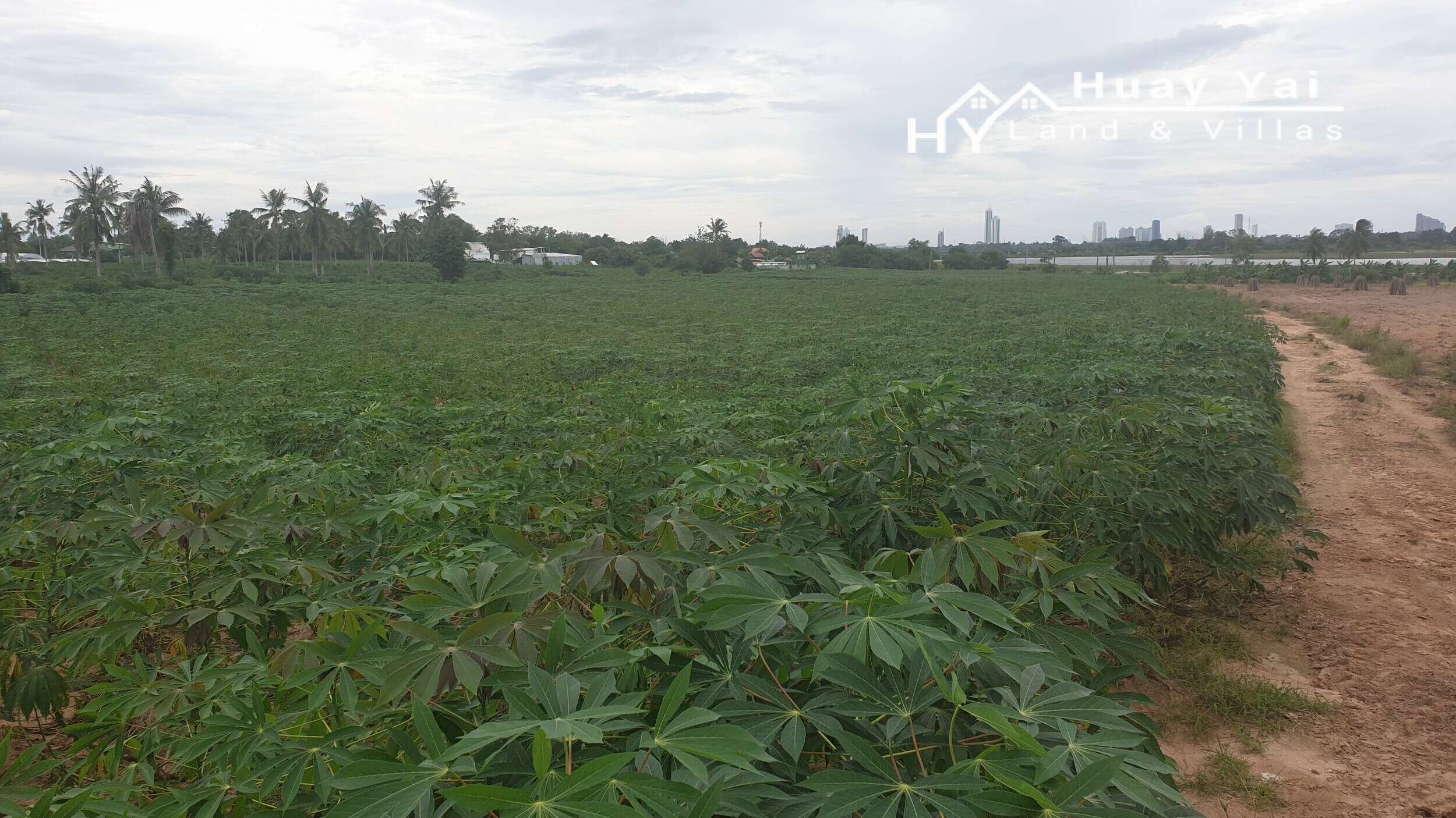 #1415 22+Rai Lakeside Land For Sale. Chak Nok Lake