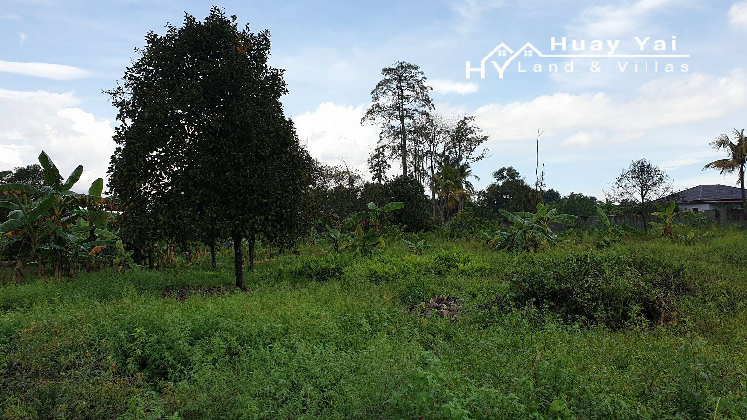 #1418   Quiet side road perfect for 1,2 3 or 4 villas