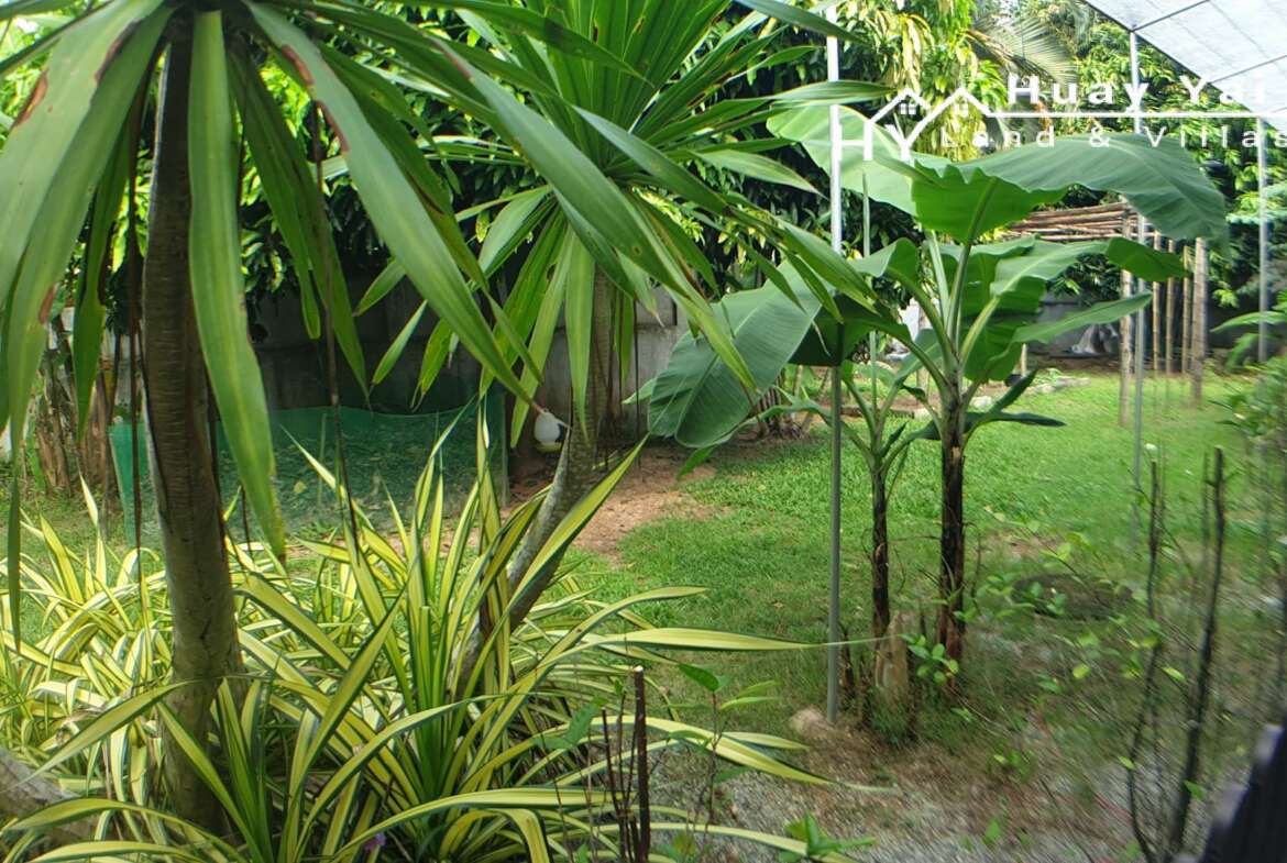 #3272     2 bedroom house and Thai house in quiet location with 1.5rai