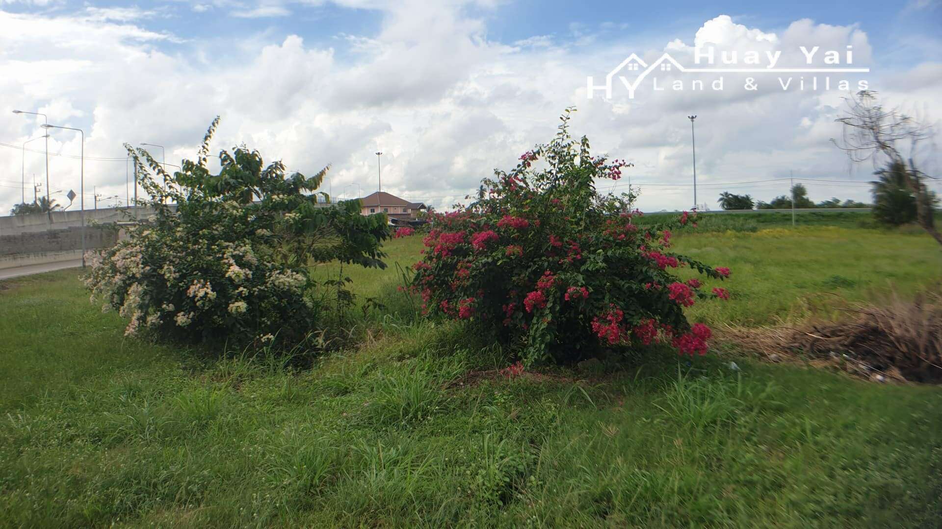 316875939_1426209621237921_4903389699310588989_n #3272 2 bedroom house and Thai house in quiet location with 1.5rai