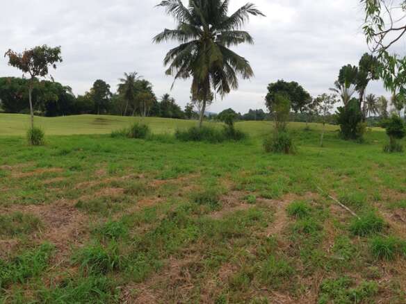 E13    Lakeside Premium Building plot within Phoenix Golf Course