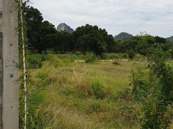 #1386 Fronting big government concrete soi. Great location close to MANY top tourist attractions.