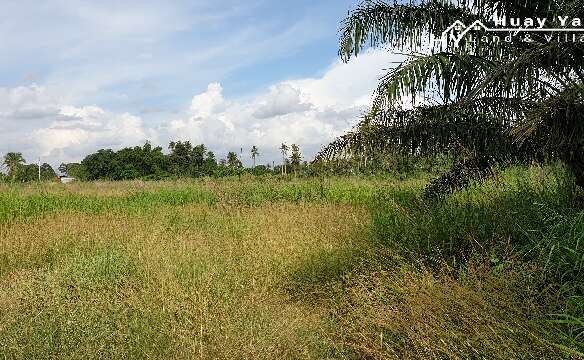 #1294    11+rai rectangular plot with semi industrial / industrial neighbours