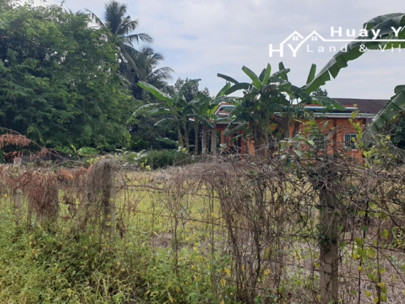 #1409 100tw plot in good area in Huay Yai
