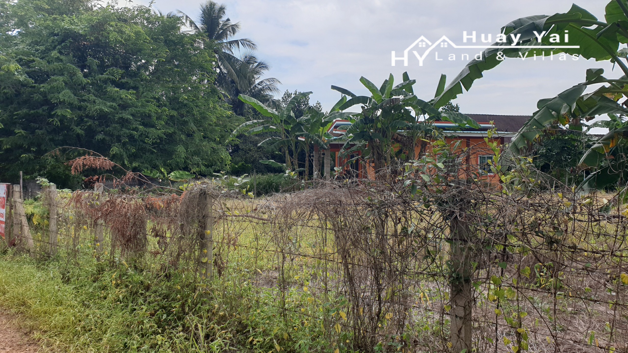 #1409 100tw plot in good area in Huay Yai