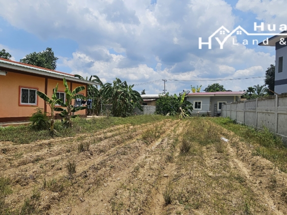 #1409 100tw plot in good area in Huay Yai