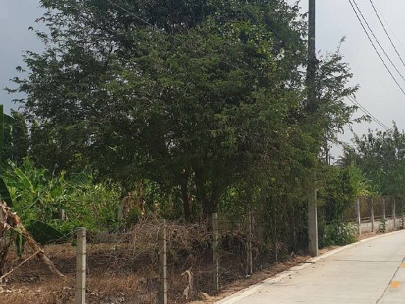 #1409 100tw plot in good area in Huay Yai