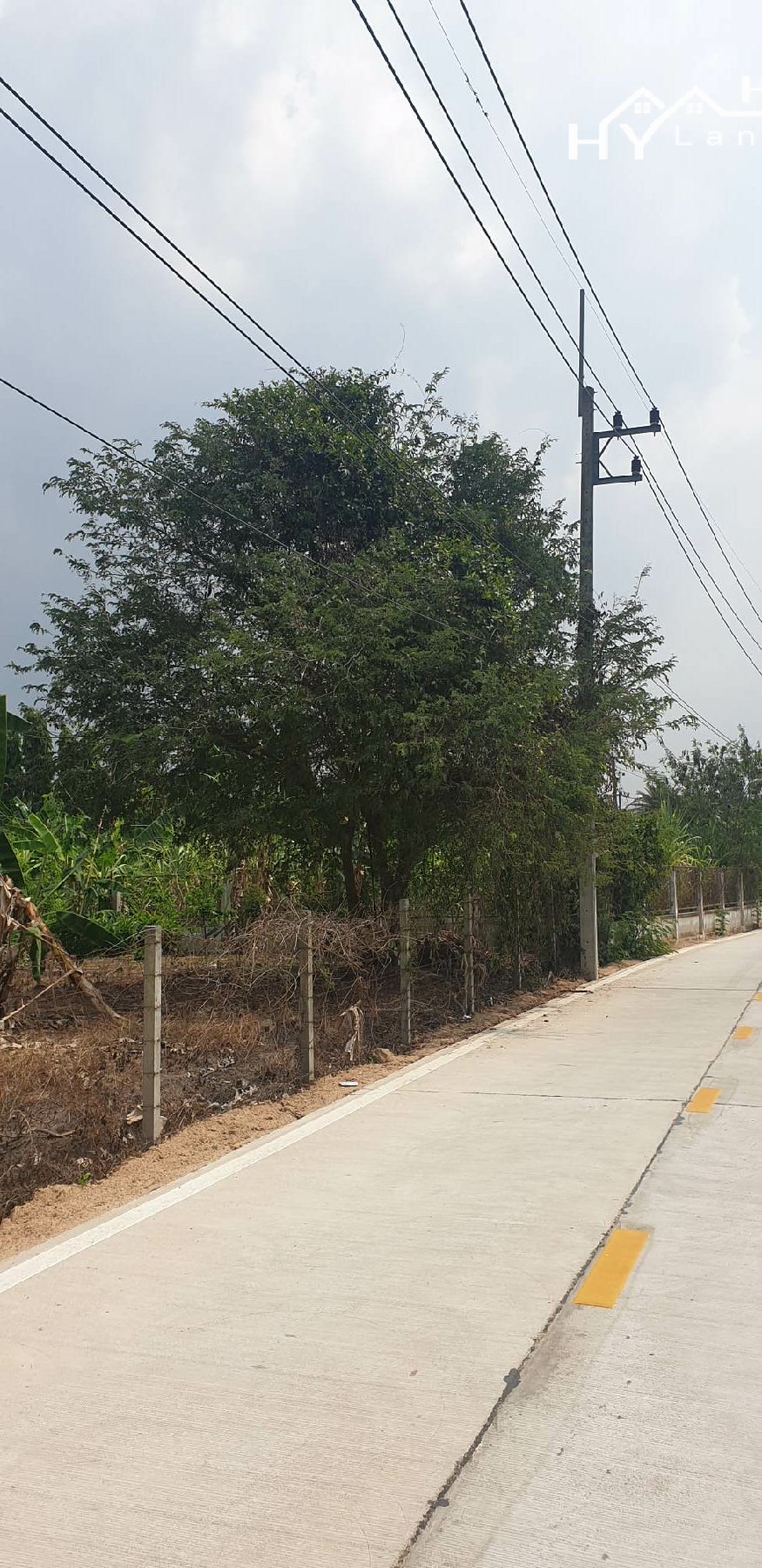 #1409 100tw plot in good area in Huay Yai
