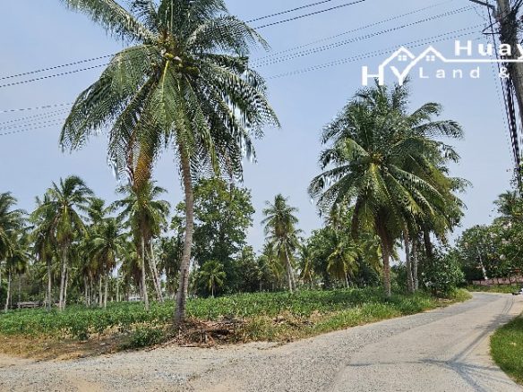 #1488b  5+rai Land For Sale Huay Yai Chien.